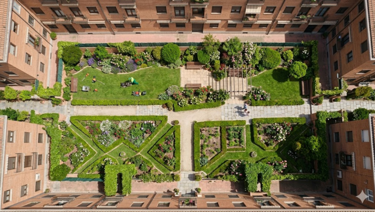 imagen_2026-03-20_171655247 imagen_2026-03-20_171655247